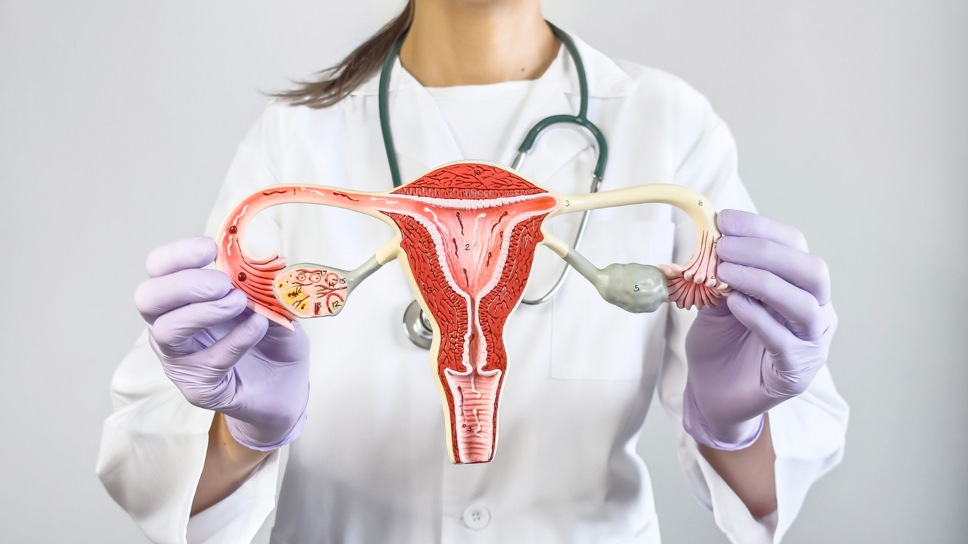 ¿Qué es y cuál es la función del endometrio?