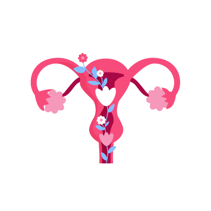 Armonización vulvar